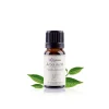 Aceite esencial de árbol del té ecológico - Labiatae