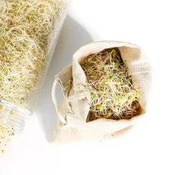 Bolsa de cáñamo para germinar y filtrar leches vegetales