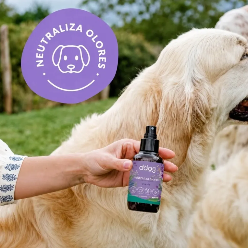 Bruma de uso diario Violeta ecológica para perros, 100 ml - The Doog Life