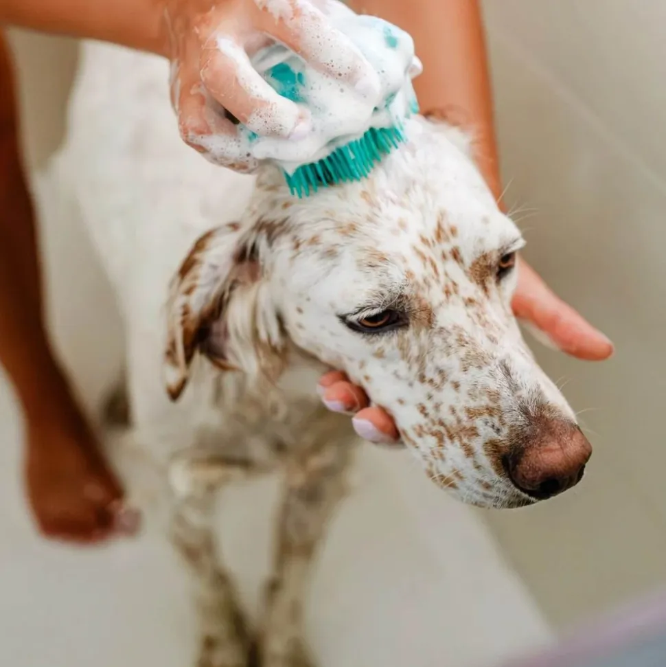 Cepillo de baño para perros - The Doog Life