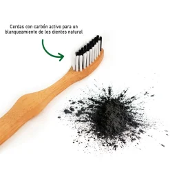 Cepillo de dientes de bambú, dureza media y con carbón activo - Bambaw