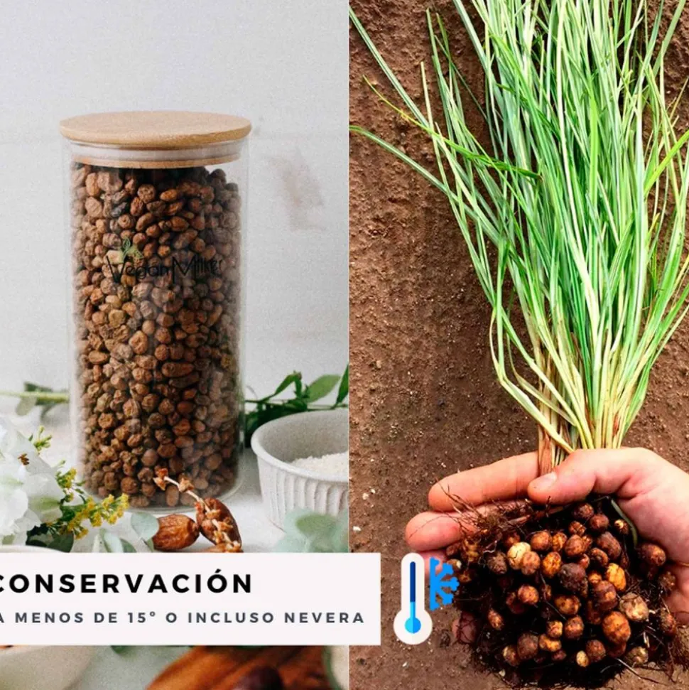 Chufa ecológica - Món Orxata