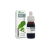 Extracto natural de ginkgo, 50 ml - Soria Natural