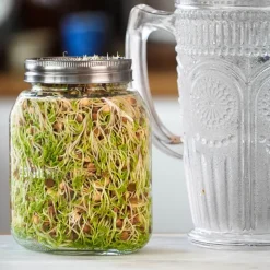 Germinador de 1 tarro con bandeja - 750 ml