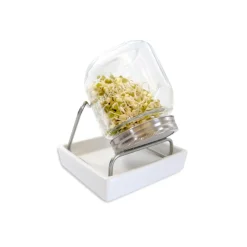 Germinador de 1 tarro con bandeja - 750 ml