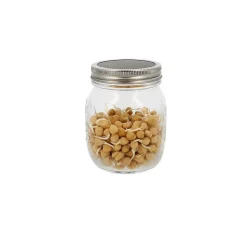 Germinador de 1 tarro - 750 ml