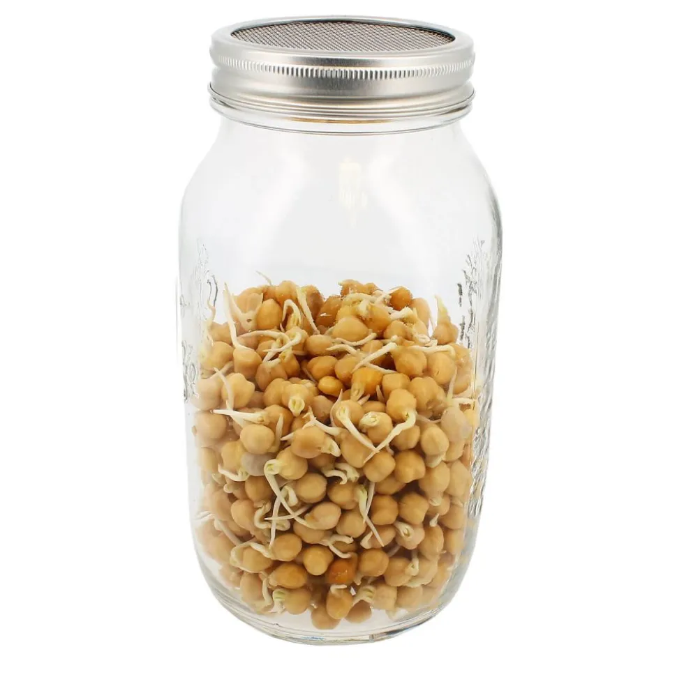 Germinador de 1 tarro - 1500 ml