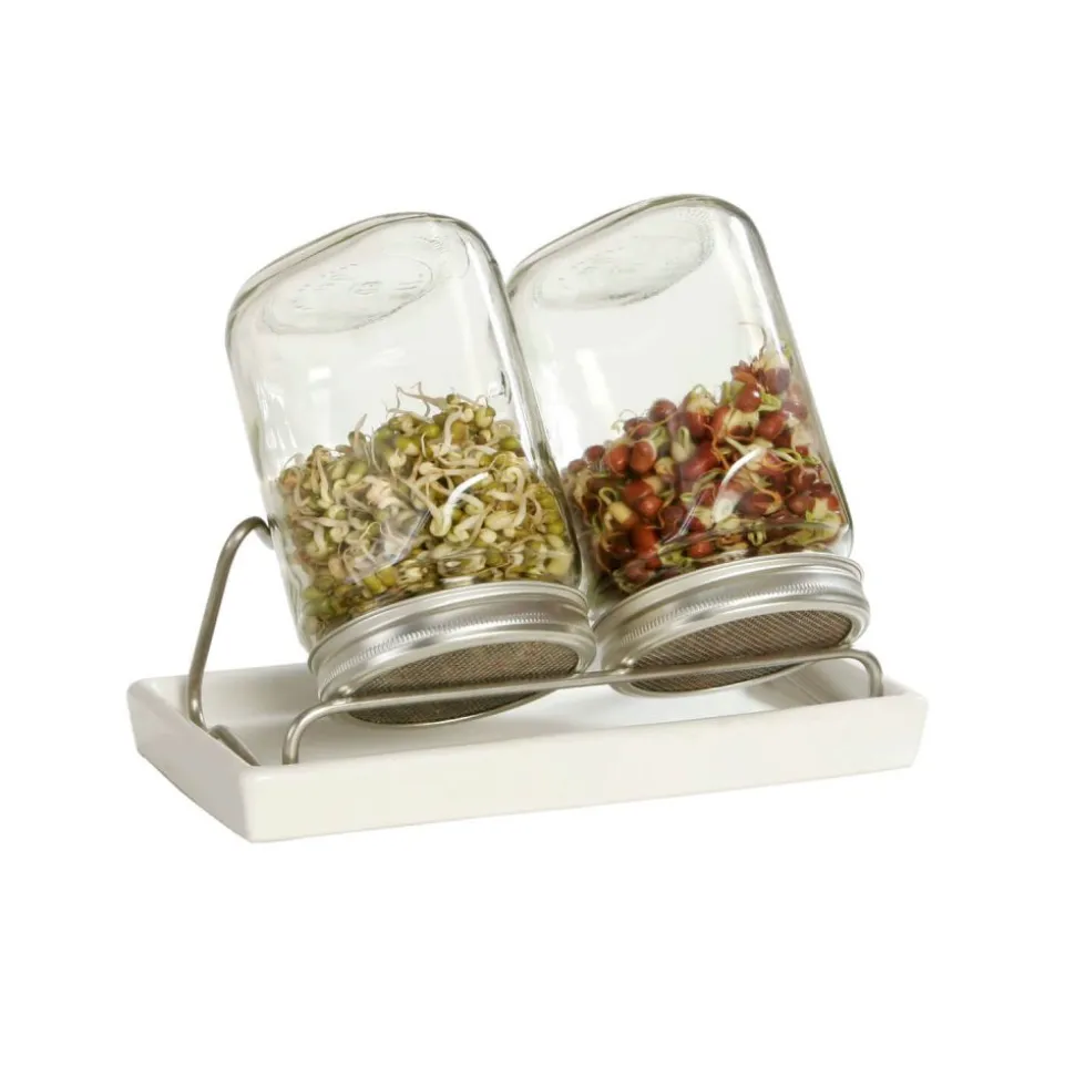 Germinador de 2 tarros con bandeja - 1000 ml