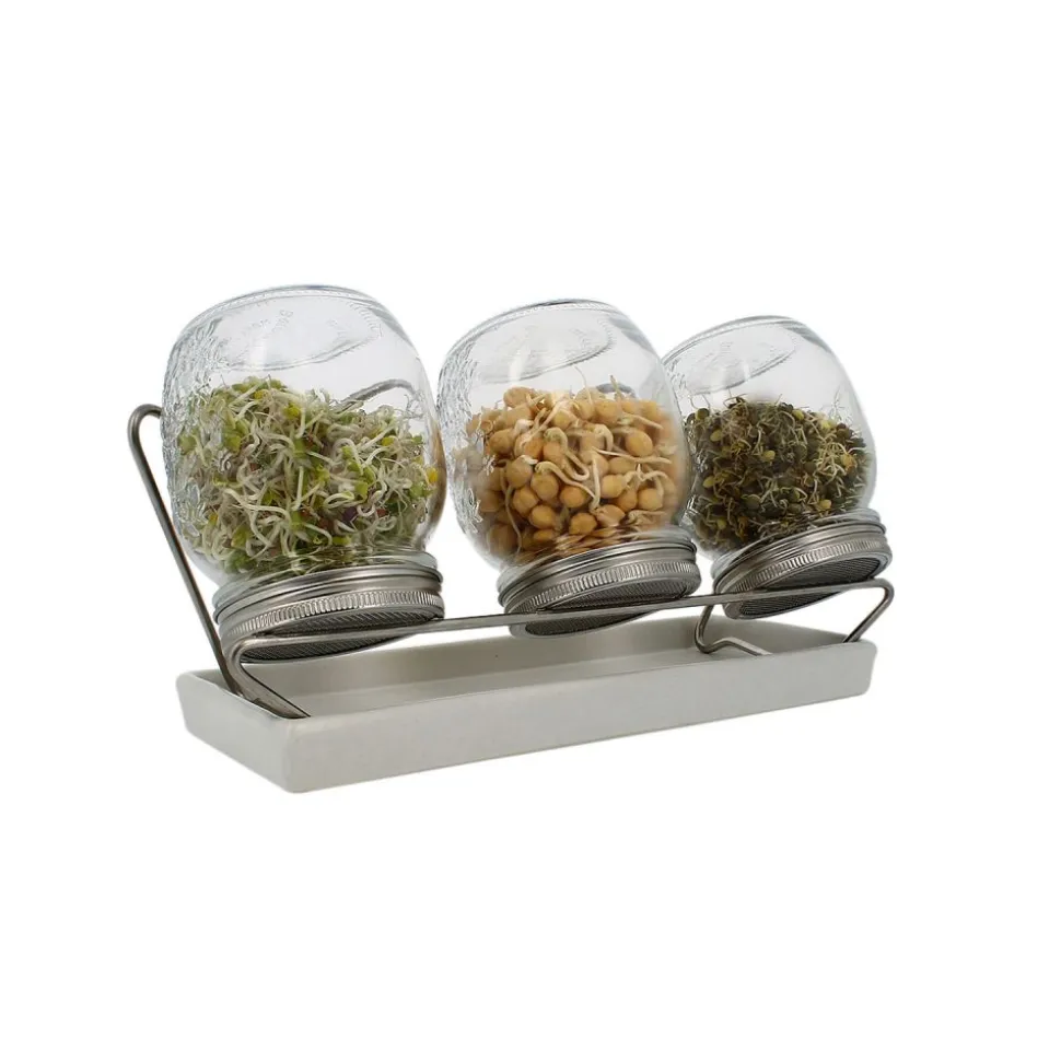 Germinador de 3 tarros con bandeja - 750 ml
