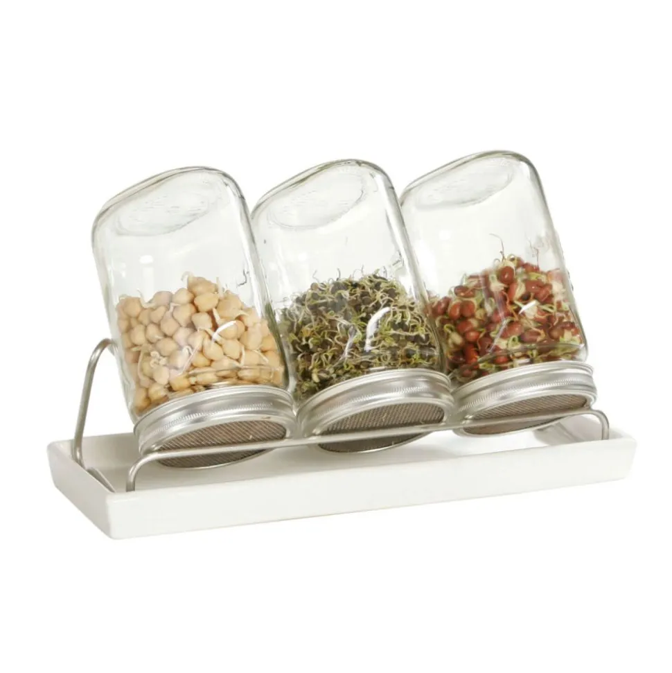 Germinador de 3 tarros con bandeja - 1000 ml