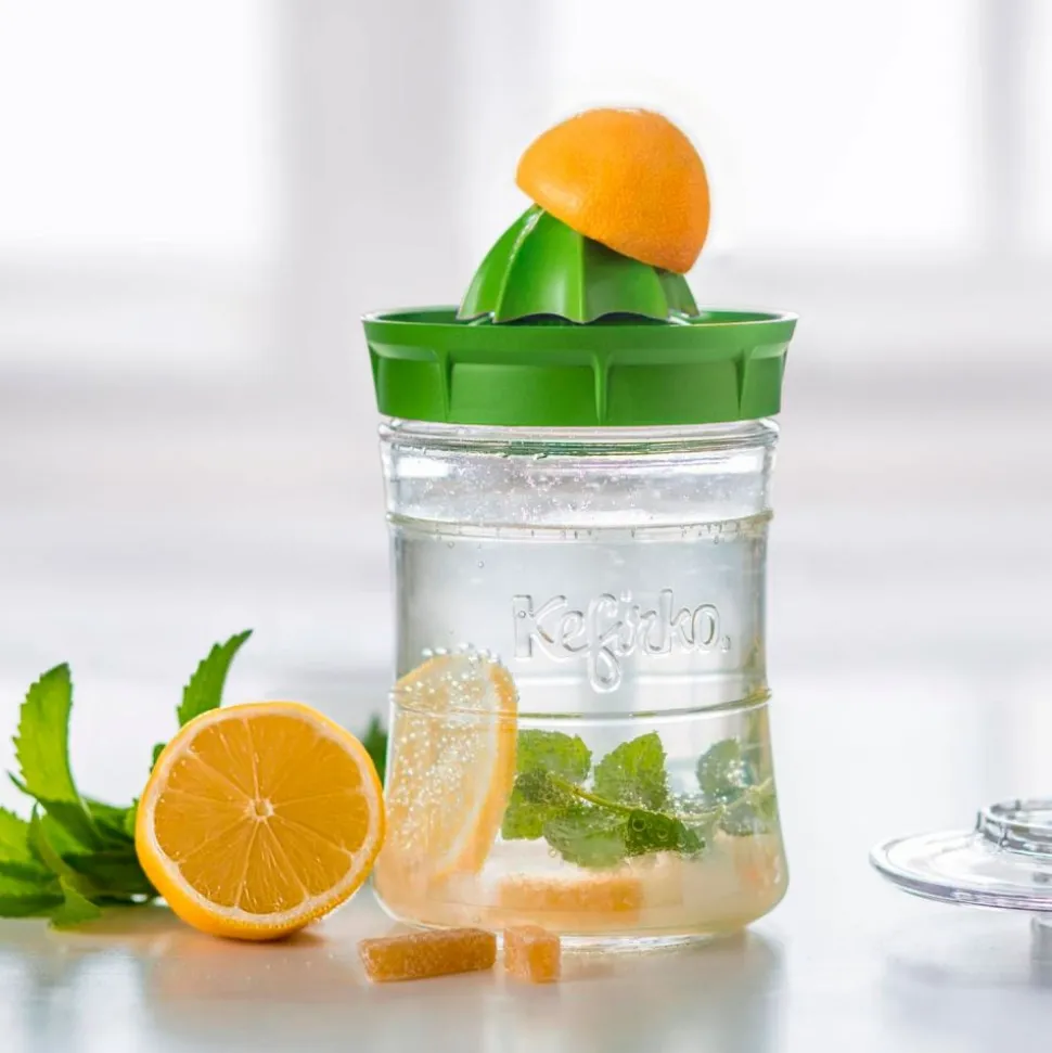Kit para hacer kéfir casero tamaño grande, verde - Kefirko