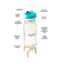 Kit para hacer kombucha - Kefirko