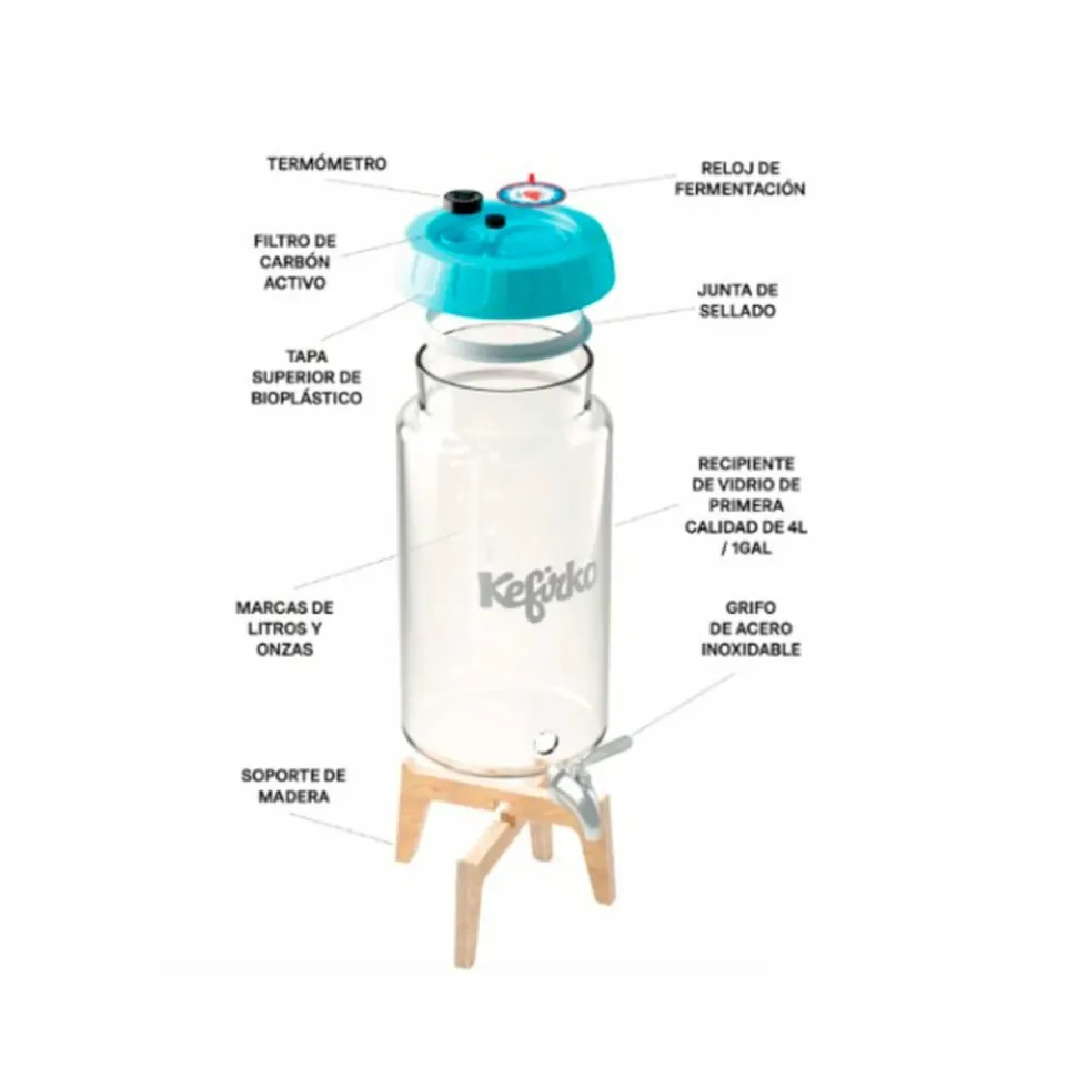 Kit para hacer kombucha - Kefirko