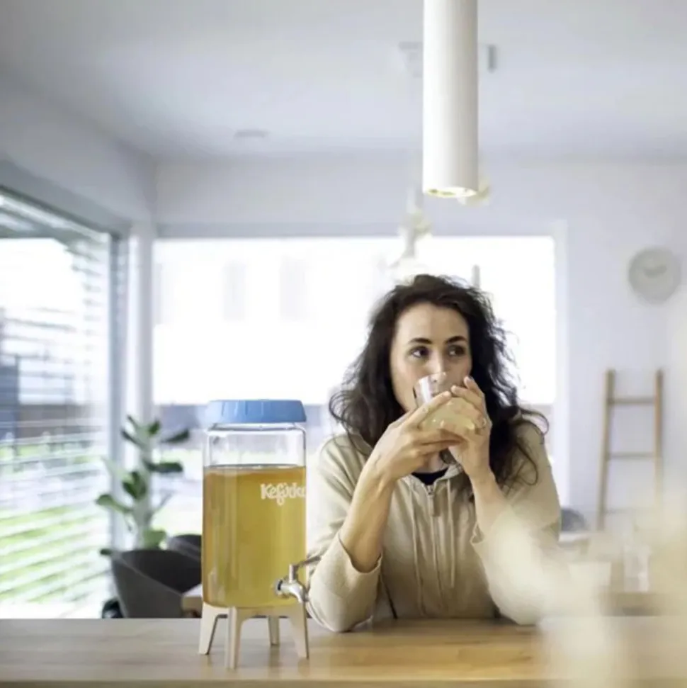 Kit para hacer kombucha - Kefirko