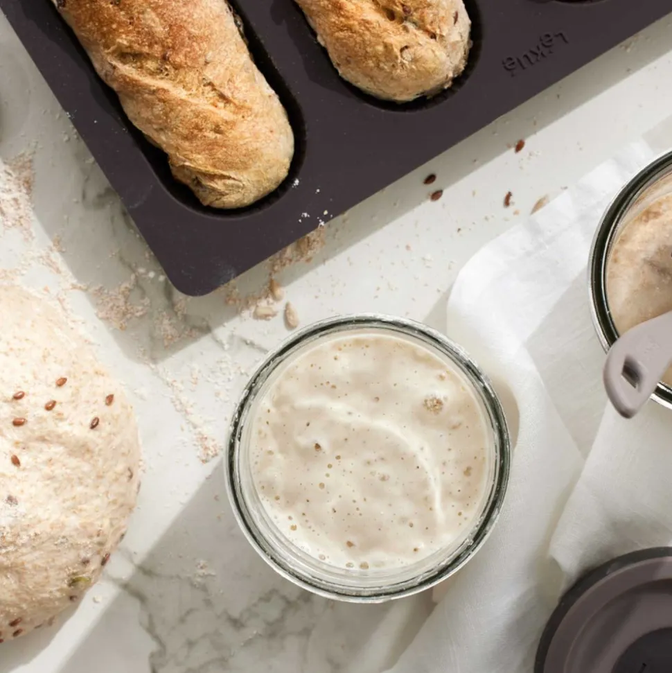Kit para hacer masa madre - Lekue