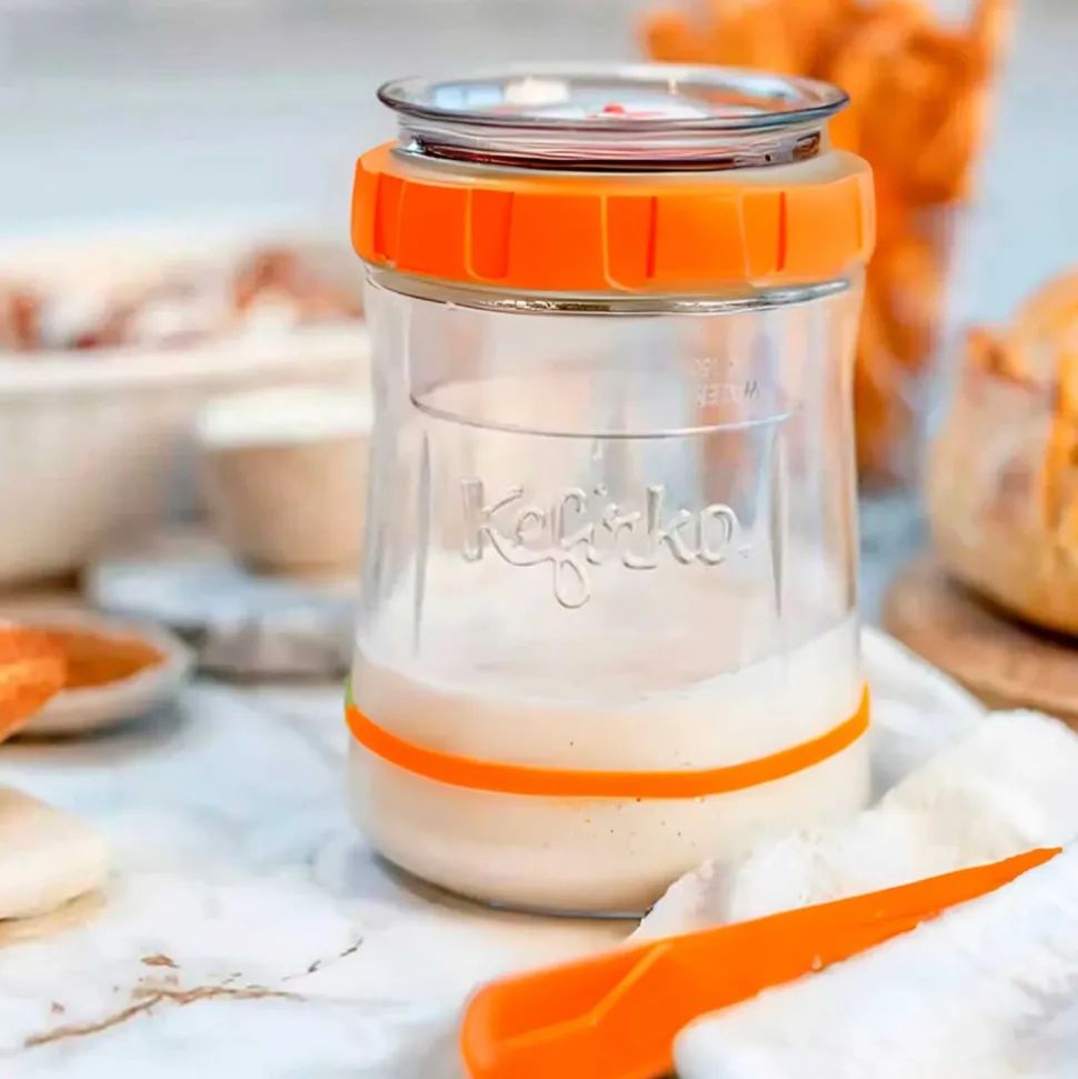 Kit para hacer masa madre, naranja - Kefirko
