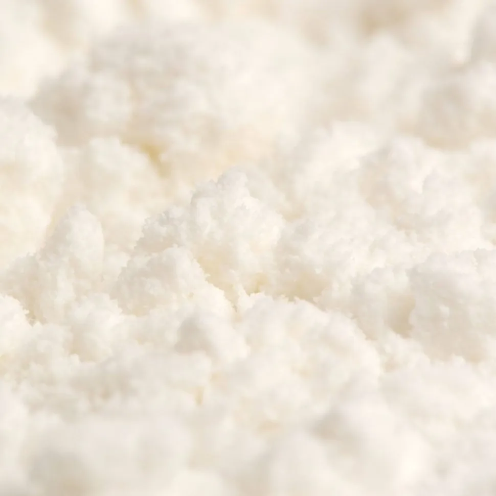 Leche de coco en polvo liofilizada ecológica, 200 g - Salud Viva