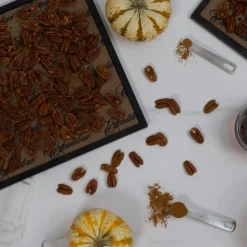 Lámina antiadherente para deshidratador Excalibur - Pequeña