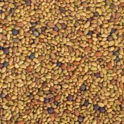 Mezcla de semillas de alfalfa, berro y col para germinar ecológicas - Germ'line