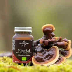 Mico Rei ecológico, 70 cápsulas - Hifas da Terra