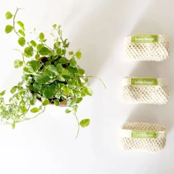 Pack 3 bolsas reutilizables de malla de algodón orgánico - Bobbibags