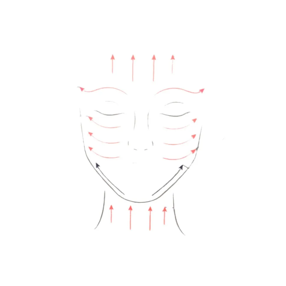 Rodillo masajeador facial de cuarzo rosa - Zen Arome