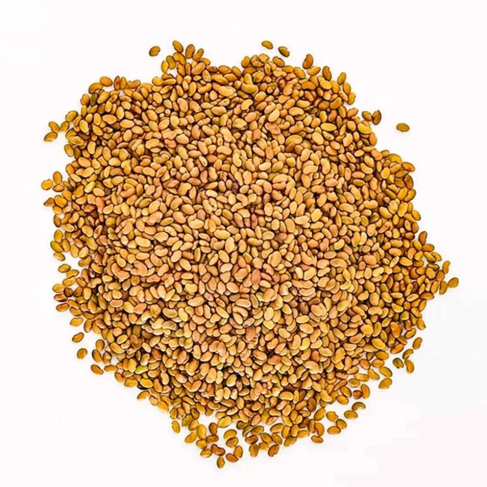 Semillas de alfalfa para germinar ecológicas - Sonnentor