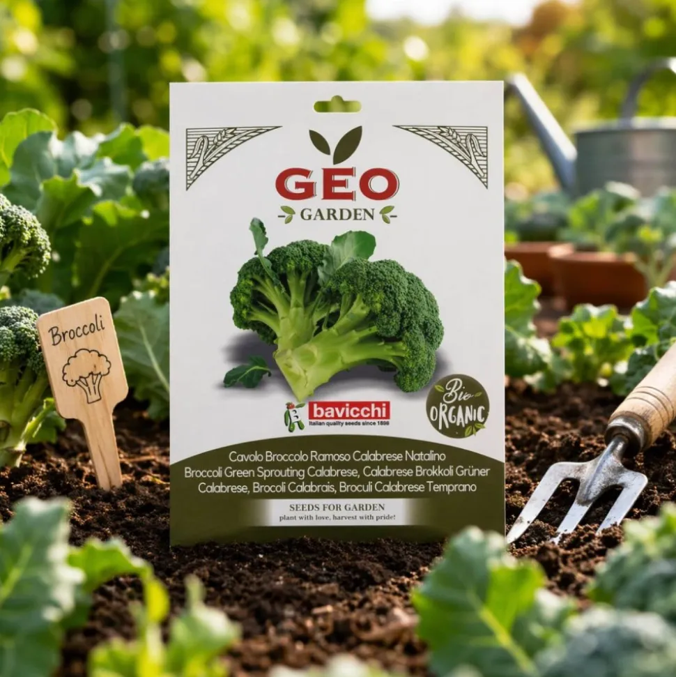 Semillas de brócoli Calabrese temprano ecológicas, 4 g - Bavicchi GEO