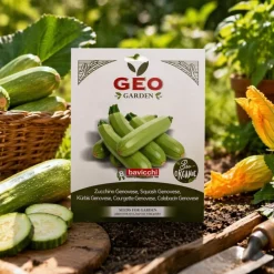 Semillas de calabacín Genoves ecológicas, 5 g - Bavicchi GEO
