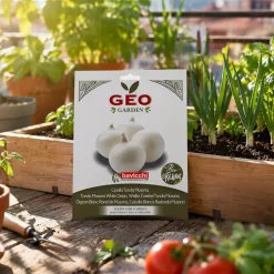 Semillas de cebolla blanca Musona ecológicas, 3 g - Bavicchi GEO