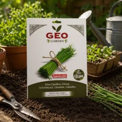 Semillas de cebollino ecológicas, 2 g - Bavicchi GEO