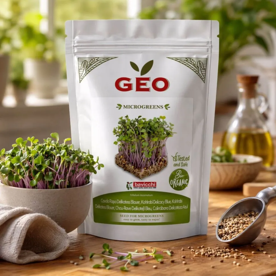 Semillas de colinabo Delicadeza azul para microgreens ecológicas, 300 g - Bavicchi GEO