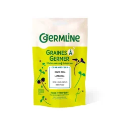 Semillas de col lombarda para germinar ecológicas