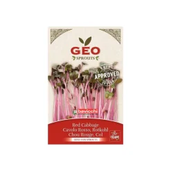 Semillas de col lombarda para germinar ecológicas - Bavicchi GEO