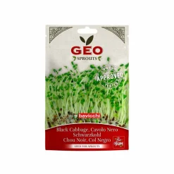 Semillas de col negra para germinar ecológicas - Bavicchi GEO