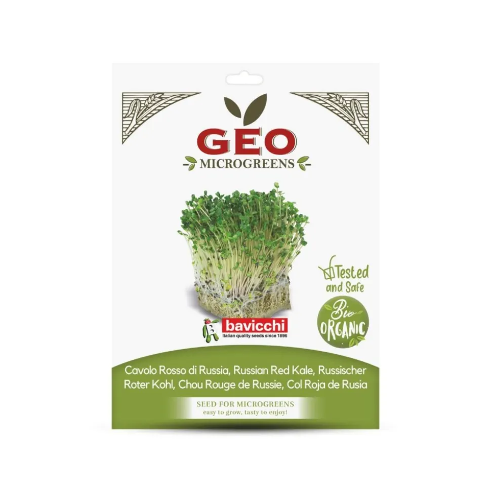 Semillas de col rizada roja de Rusia para microgreens ecológica, 15 g - Bavicchi GEO