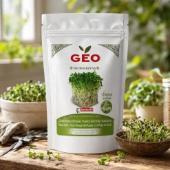 Semillas de col rizada roja de Rusia para microgreens ecológicas, 300 g - Bavicchi GEO