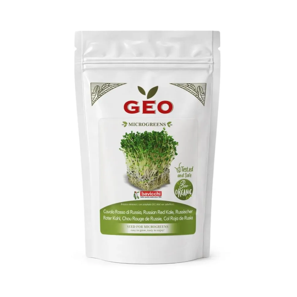 Semillas de col rizada roja de Rusia para microgreens ecológicas, 300 g - Bavicchi GEO