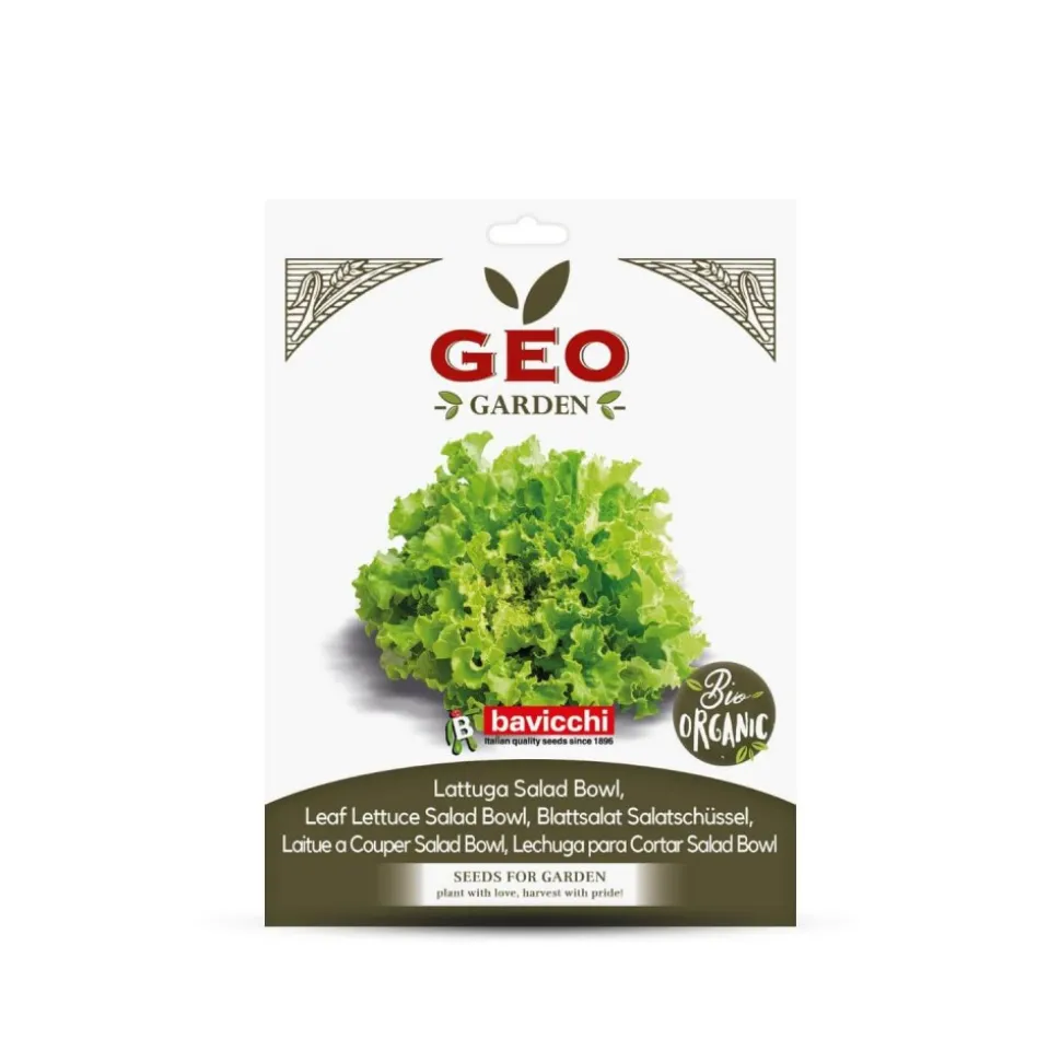 Semillas de lechuga de hoja verde ecológicas, 2 g - Bavicchi GEO