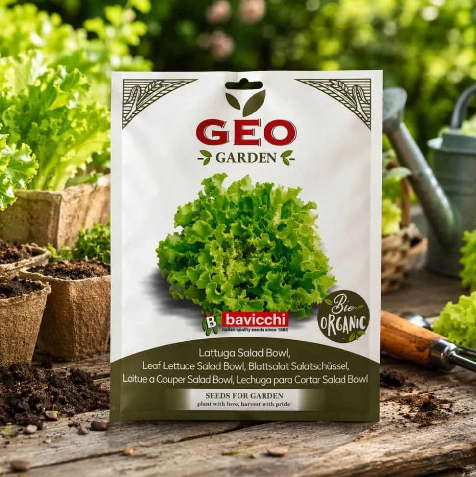 Semillas de lechuga de hoja verde ecológicas, 2 g - Bavicchi GEO