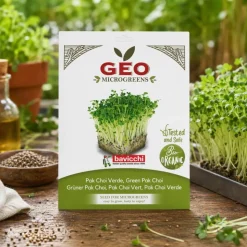 Semillas de Pak Choi verde para microgreens ecológicos, 15 g - Bavicchi GEO