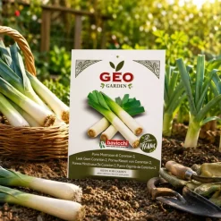 Semillas de puerro ecológicas, 4 g - Bavicchi GEO