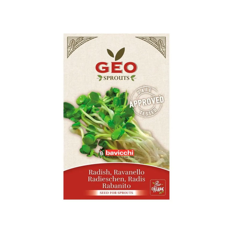 Semillas de rábano Daikon para germinar ecológicas - Bavicchi GEO