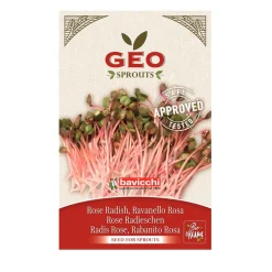 Semillas de rábano rosa para germinar ecológicas - Bavicchi GEO