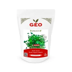 Semillas de rúcula para germinar ecológicas - Bavicchi GEO