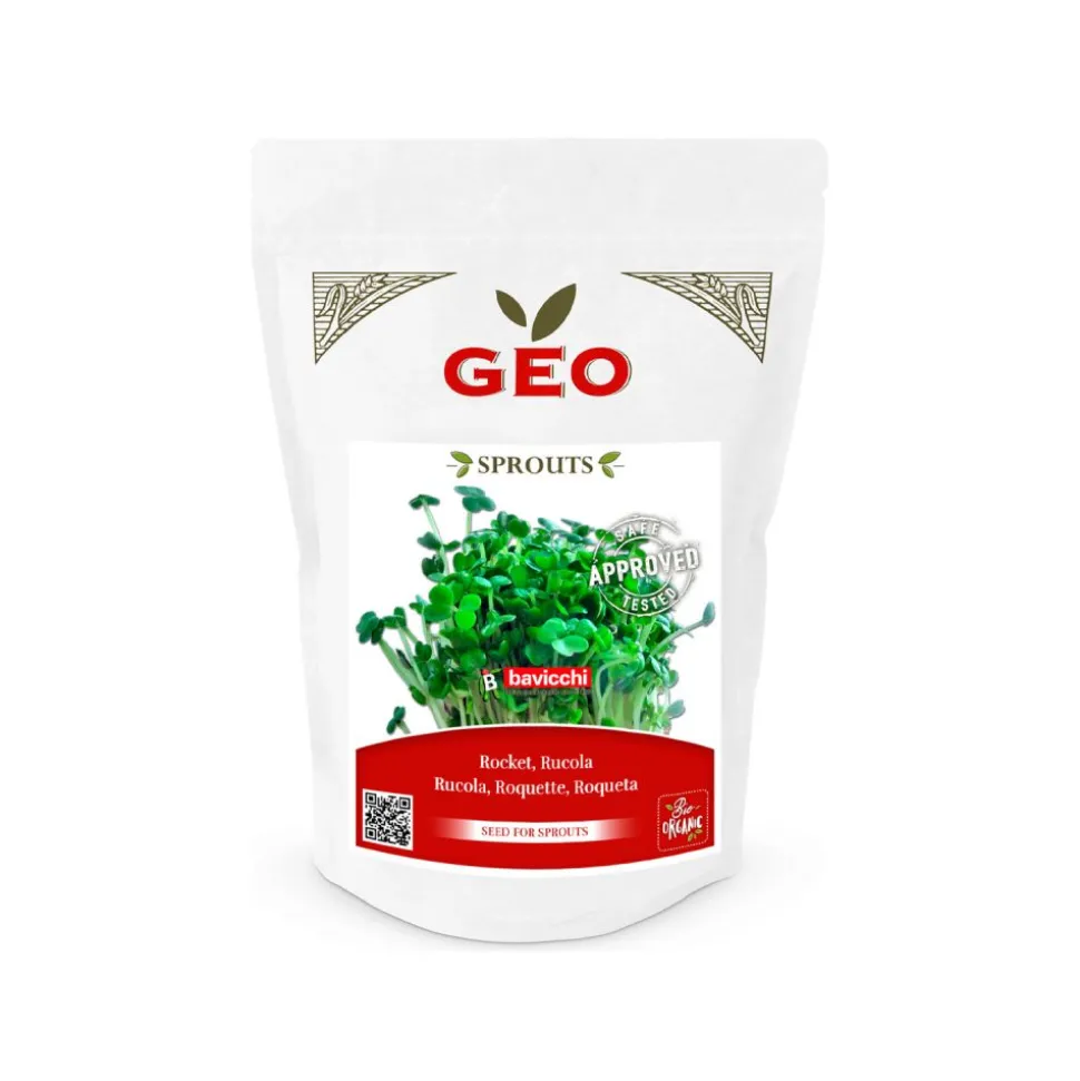 Semillas de rúcula para germinar ecológicas - Bavicchi GEO