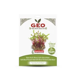 Semillas de remolacha Bull’s Blood para microgreens ecológicas, 15 g - Bavicchi GEO