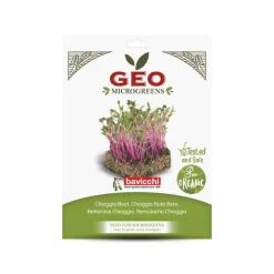 Semillas de remolacha Chioggia para microgreens ecológicas, 15 g - Bavicchi GEO