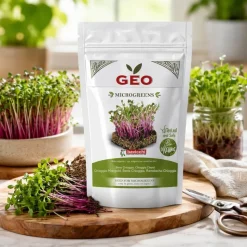 Semillas de Remolacha Chioggia para microgreens ecológicas, 250 g - Bavicchi GEO
