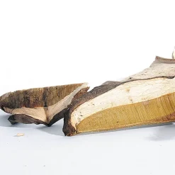 Seta Boletus deshidratada ecológica, entera - Pilze Wohlrab